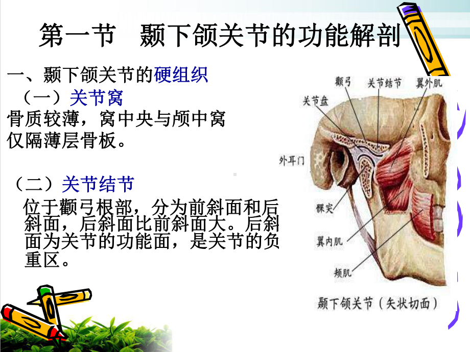 颞下颌关节紊乱常见病唾液腺常见病课件.pptx_第3页