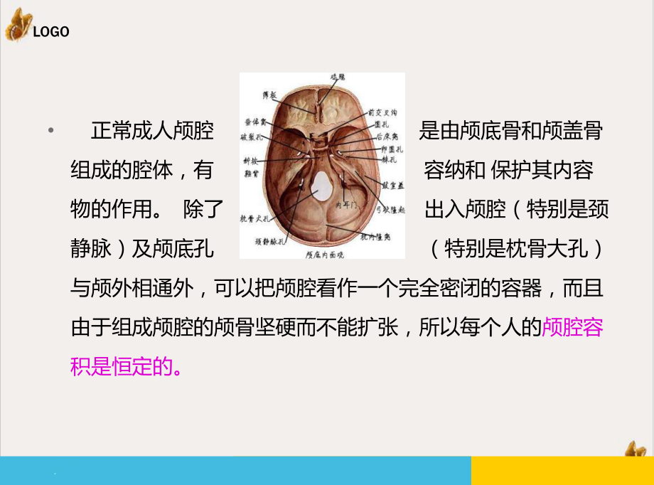 颅内高压患者的监护课件.pptx_第3页