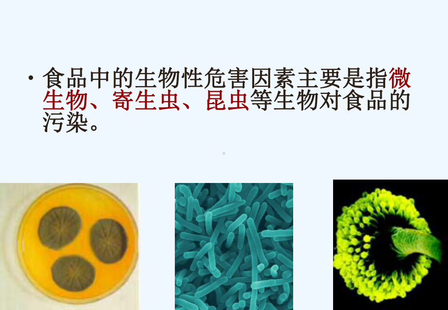 食品中的生物性危害因素课件.ppt_第2页