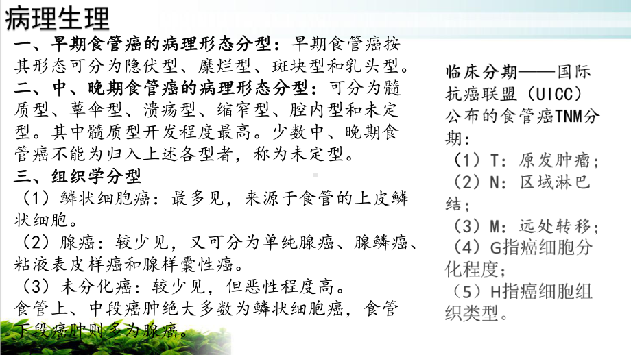 食管癌患者的护理查房PPT课件.pptx_第3页