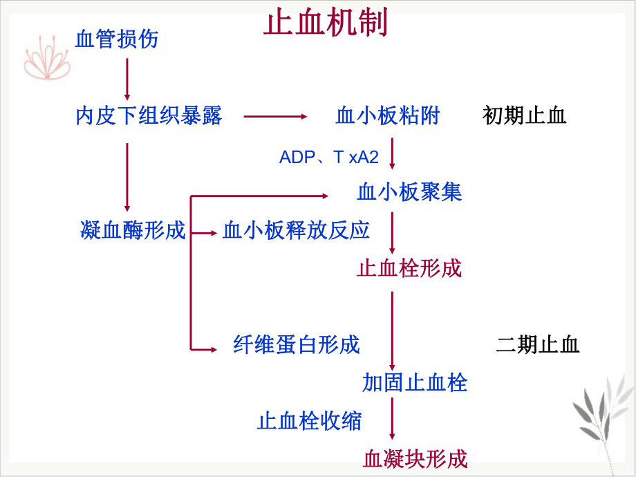 静脉血栓症的实验室诊断课件.pptx_第3页