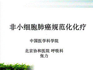 非小细胞肺癌规范化化疗培训资料模版整理课件.ppt