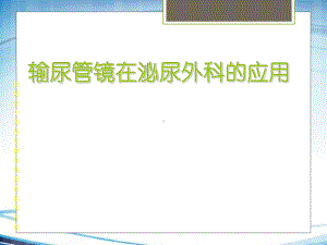 输尿管镜技术在泌尿外科的应用课件.ppt