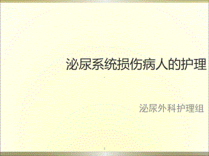 泌尿系统损伤病人的护理课件整理.ppt