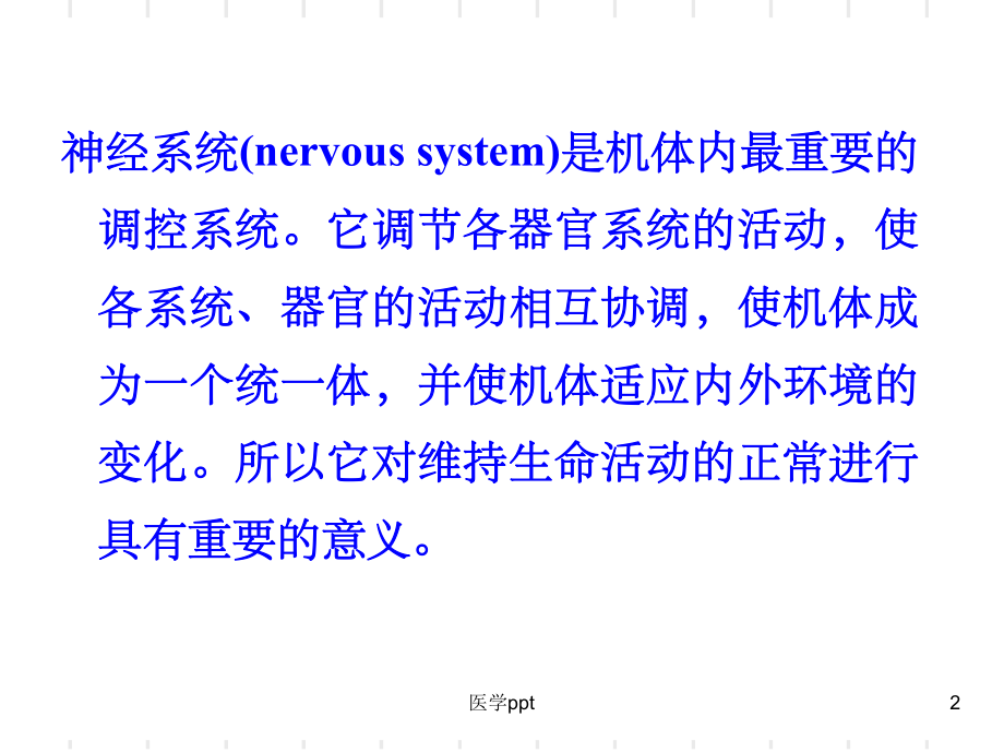 人体解剖生理学第十一章神经系统课件.ppt_第2页