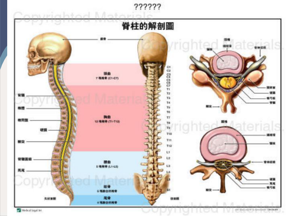 颈椎病的预防与保健详细说明课件(模板).pptx_第2页