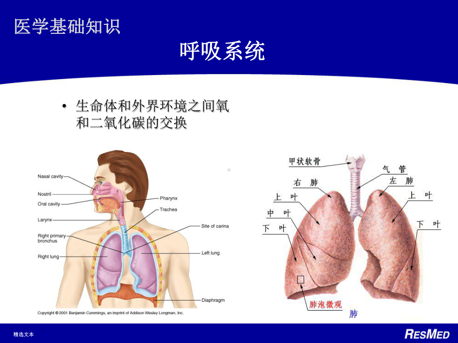 无创呼吸机原理及适应症课件.ppt_第3页