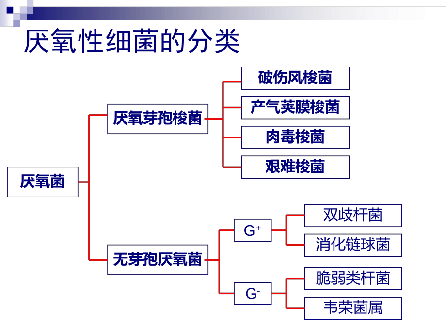 试验6厌氧菌棒状杆菌分枝杆菌等课件.ppt_第3页