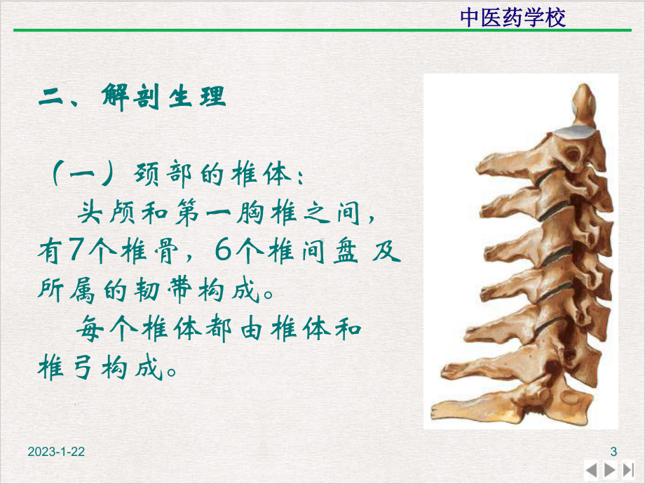 颈椎病推拿优选课件.pptx_第3页