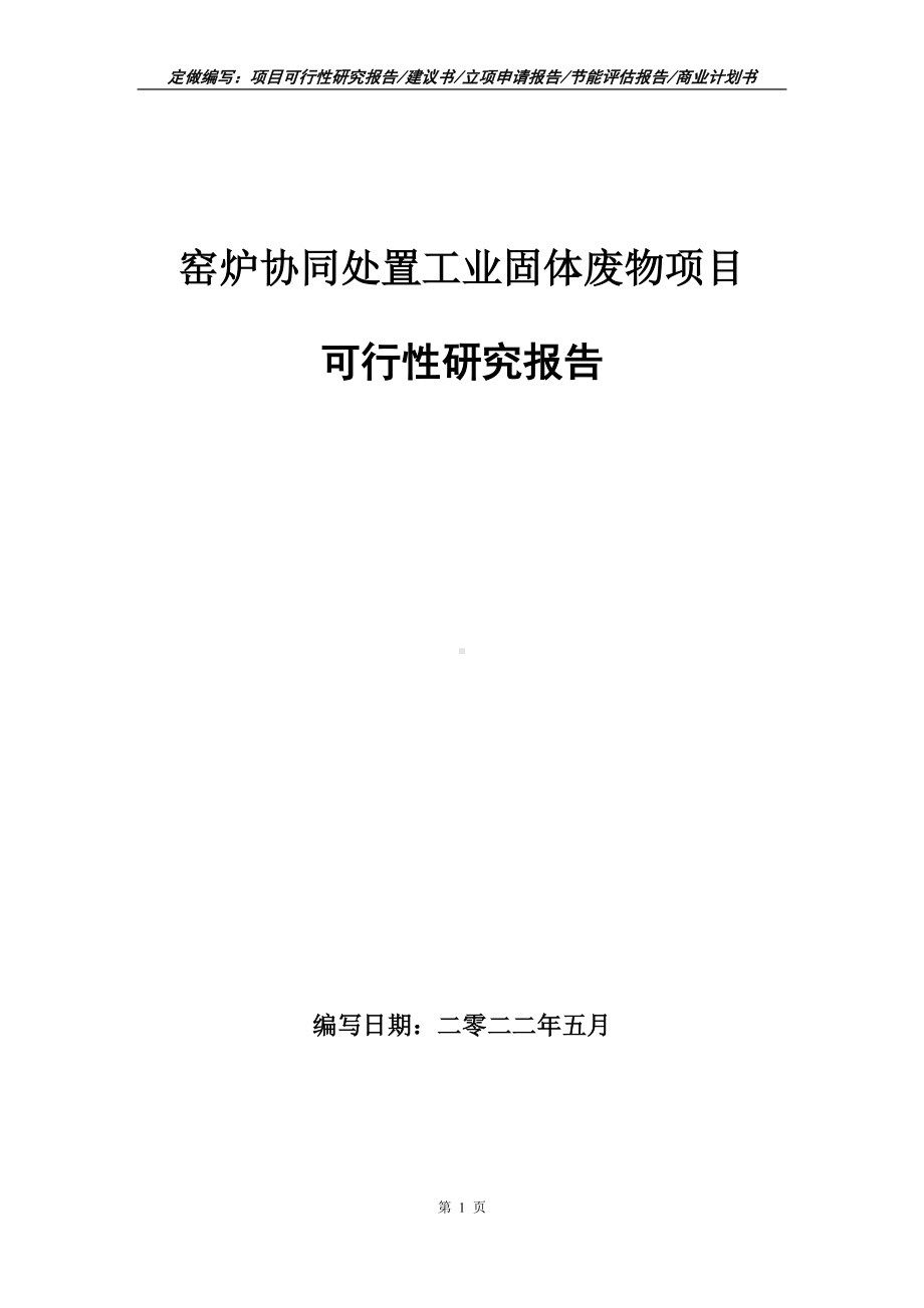 窑炉协同处置工业固体废物项目可行性报告（写作模板）.doc_第1页