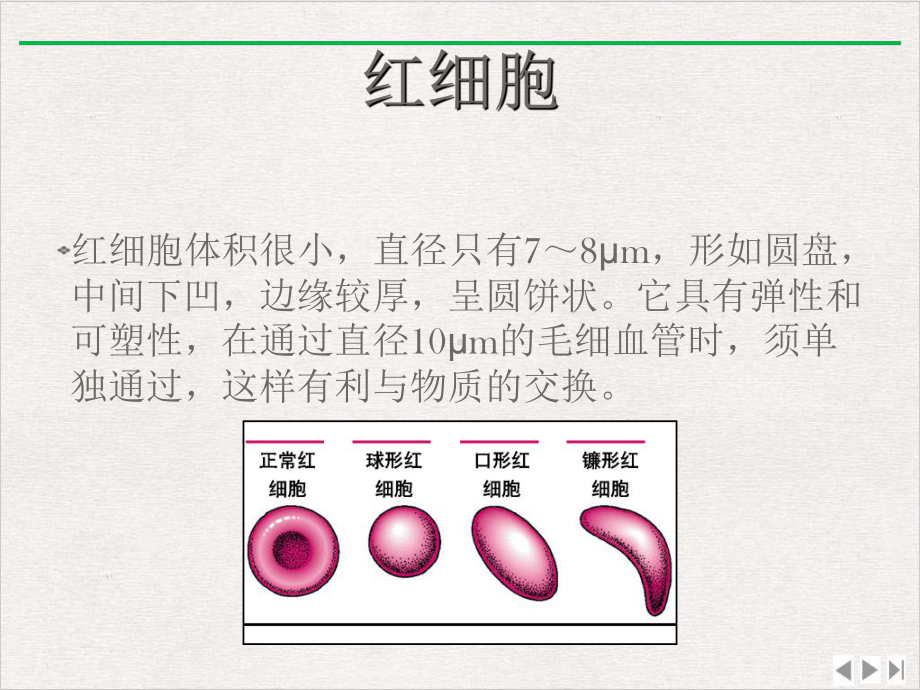 镰刀形红细胞贫血课件.pptx_第2页