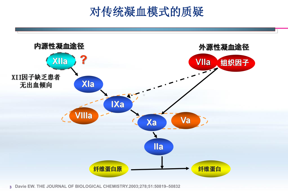 静脉血栓部分培训课件.pptx_第3页