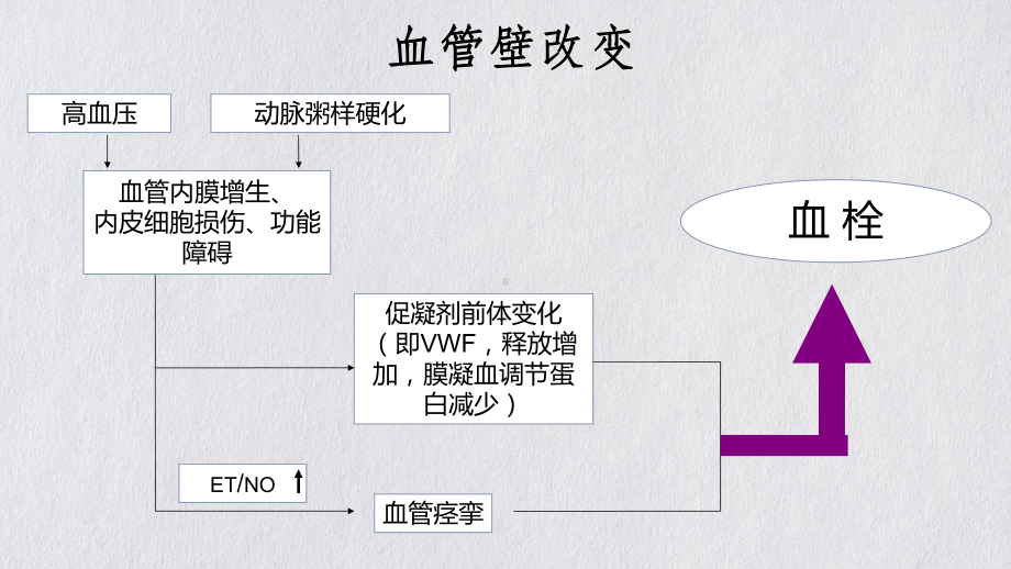 抗血小板药与临床监测授课课件.pptx_第3页