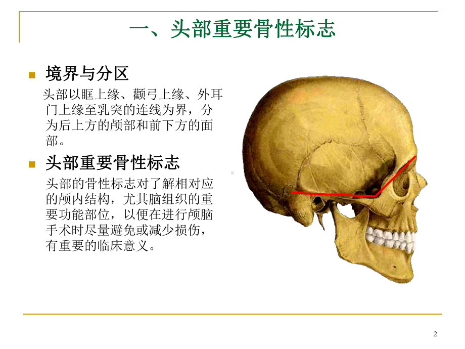 颅脑应用解剖学课件.ppt_第2页