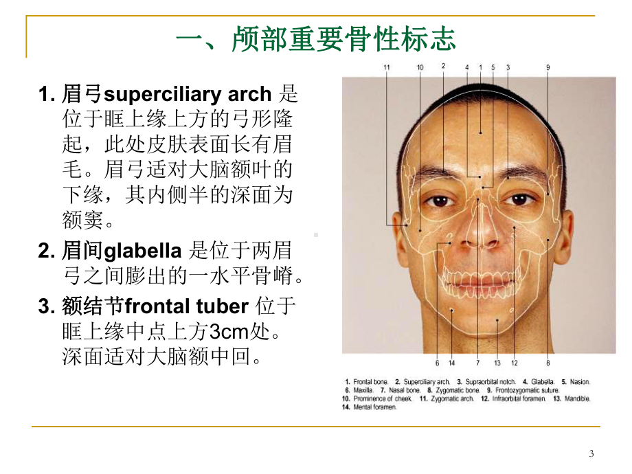 颅脑应用解剖学课件.ppt_第3页