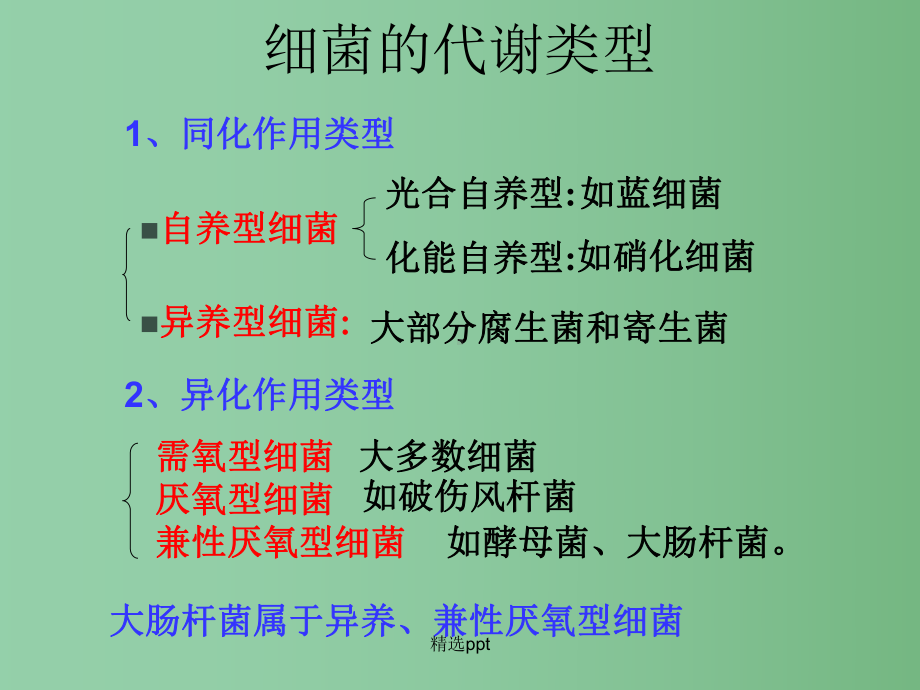 高中生物-第一部分《实验一-大肠杆菌的培养和分离》课件12-浙科版选修1.ppt_第3页