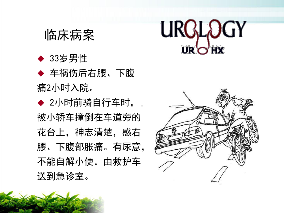 泌尿系统损伤绝对专业课件.ppt_第2页