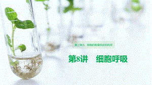 高考生物大一轮人教课件：第三单元-第8讲-细胞呼吸-.pptx