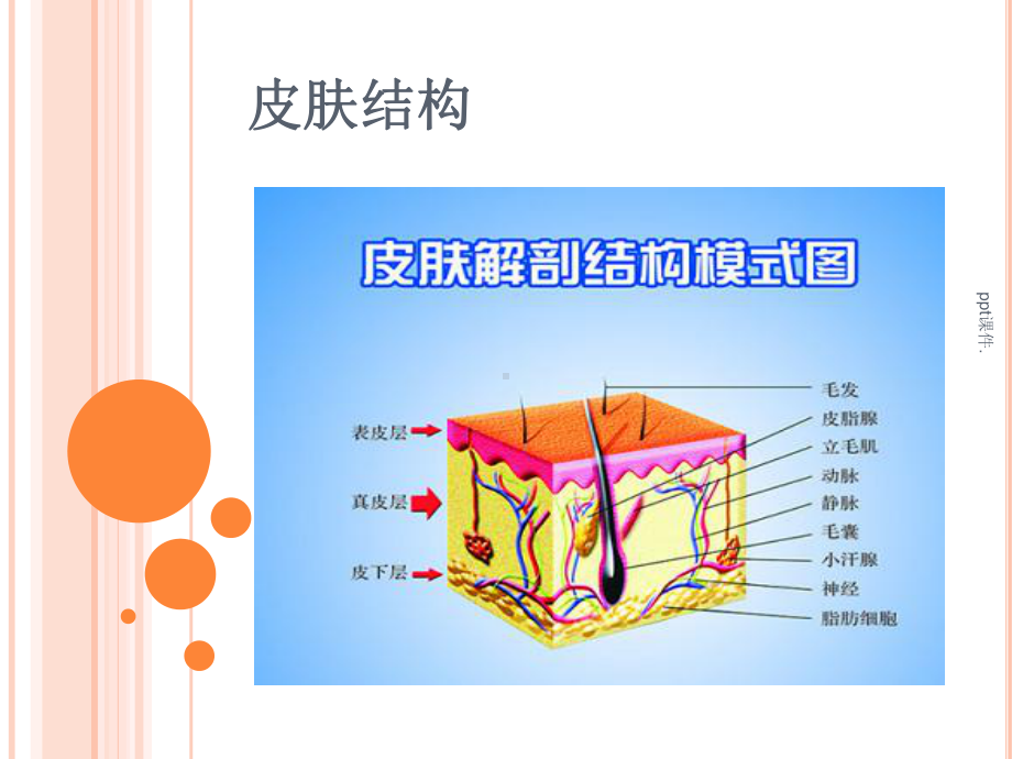 压疮护理措施课件.ppt_第3页