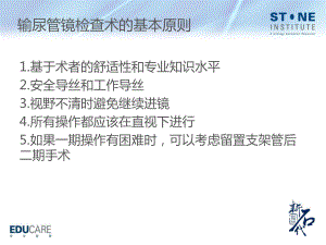 输尿管镜腔内技术新版课件.pptx