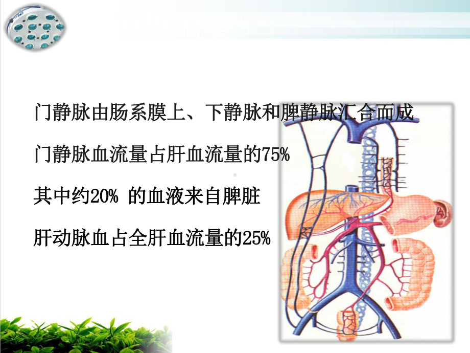 门静脉高压症患者的护理PPT课件.pptx_第1页