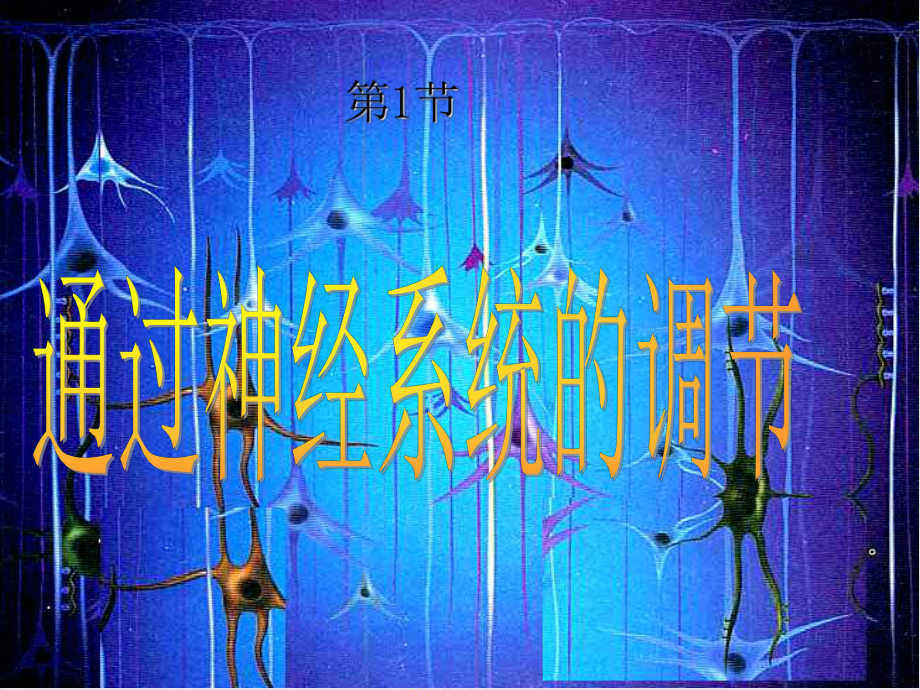 [人教版]《通过神经系统的调节》优质课件1.ppt_第1页