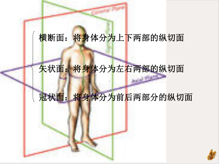 颅脑断面解剖PPT课件.pptx_第1页