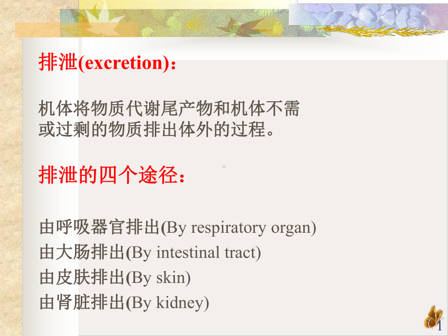 泌尿生理学培训课件.pptx_第1页