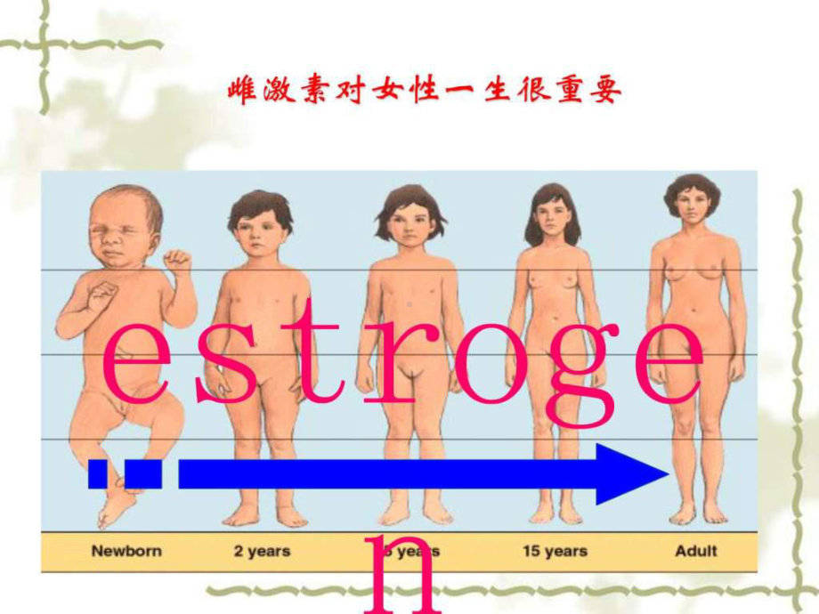 雌激素的临床应用课件整理.ppt_第2页