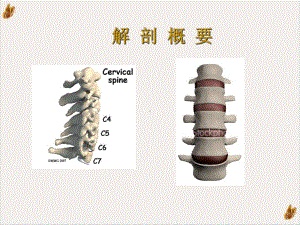 颈肩痛的基础康复临床治疗课件.pptx