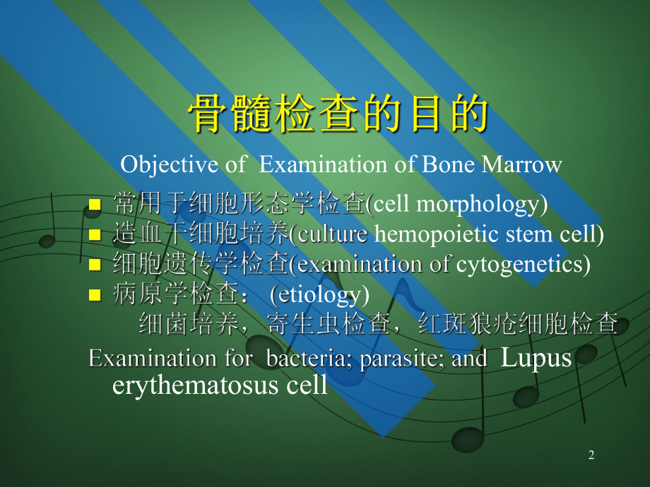 骨髓细胞形态学检查(ExaminationofBoneMarrow)课件.ppt_第2页