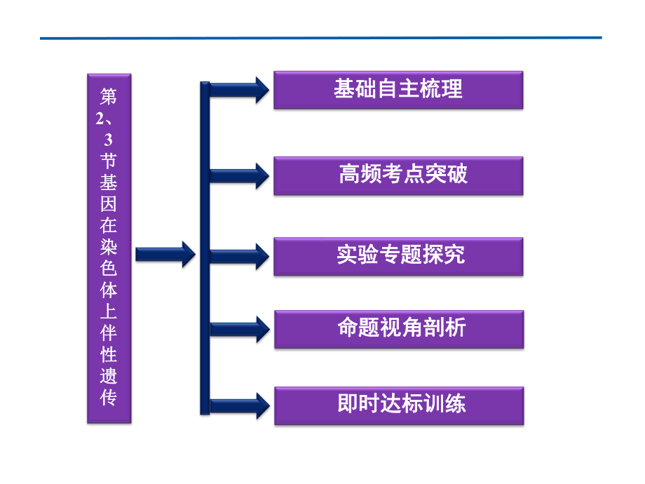 最新基因在染色体上伴性遗传课件.ppt_第2页