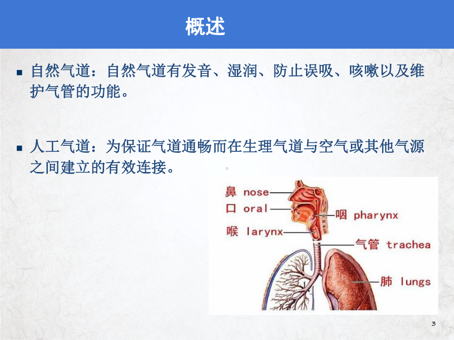 重症患者气道管理课件.pptx_第3页