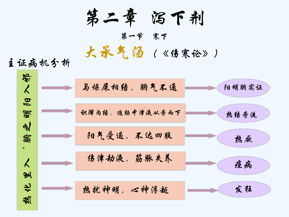 阳明病胃肠燥热证课件.ppt_第2页