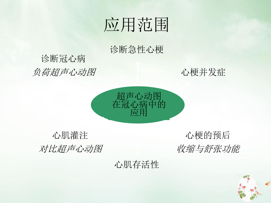 超声心动图诊断冠心病讲课课件.ppt_第2页