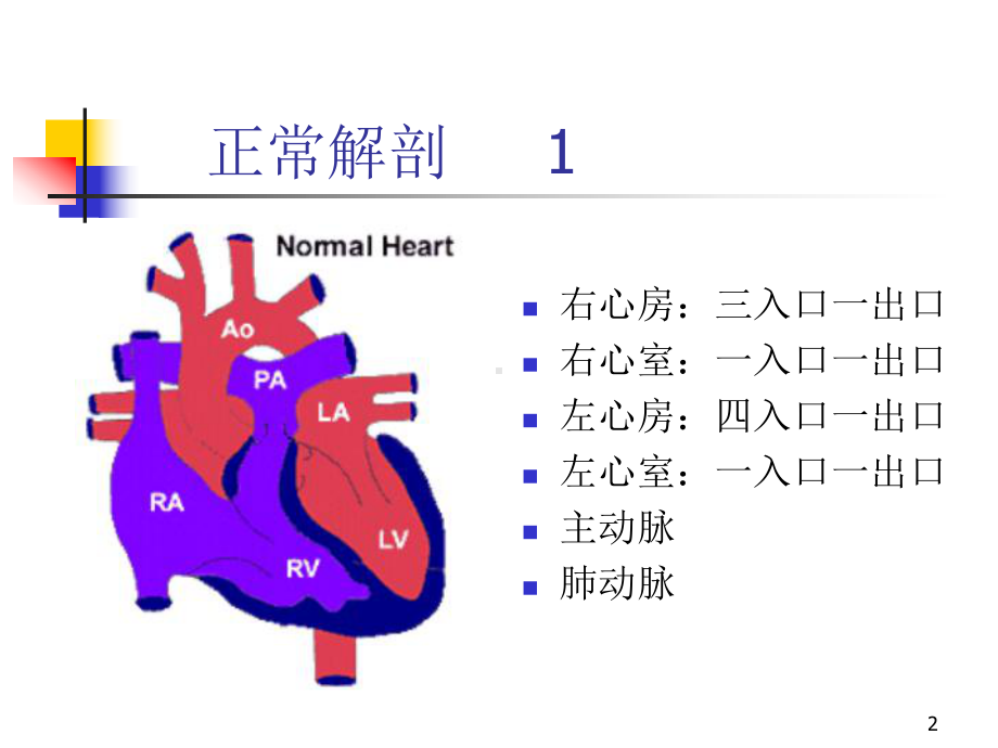 正常心脏解剖及常见先天性心脏病病理生理课件.ppt_第2页