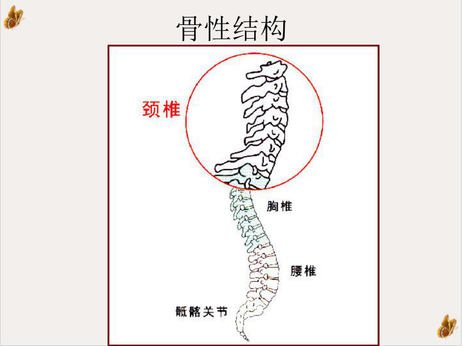 颈椎病的健康教育课件.pptx_第2页