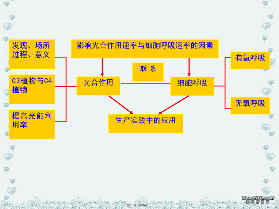 高考生物光合作用和细胞呼吸课件-新课标-人教版.ppt_第3页