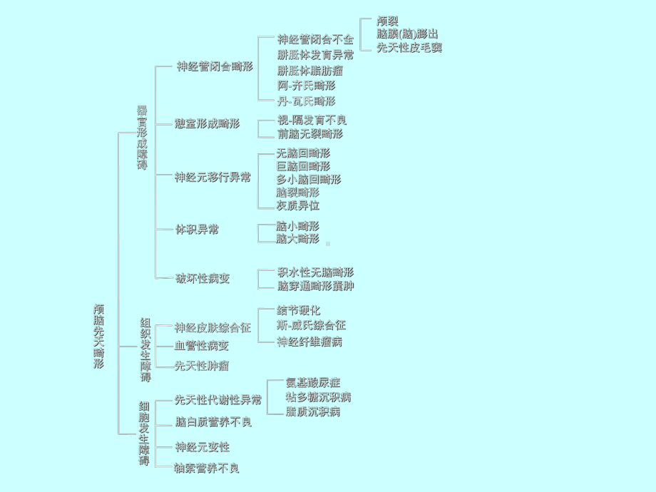 颅脑先天性疾病影像诊断课件.ppt_第3页