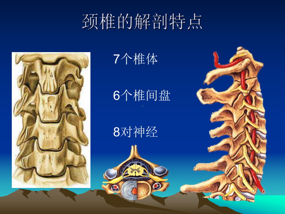 颈腰椎CT诊断课件.pptx_第2页