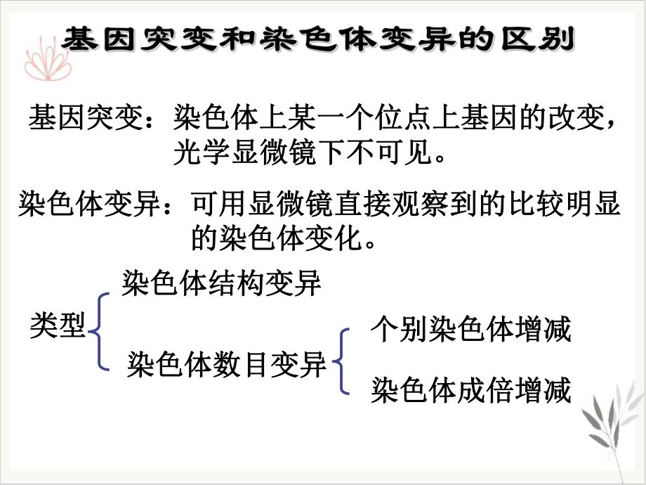 染色体变异修改课件.ppt_第3页