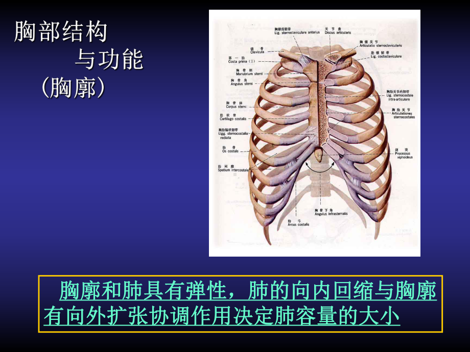 呼吸训练-课件.ppt_第2页