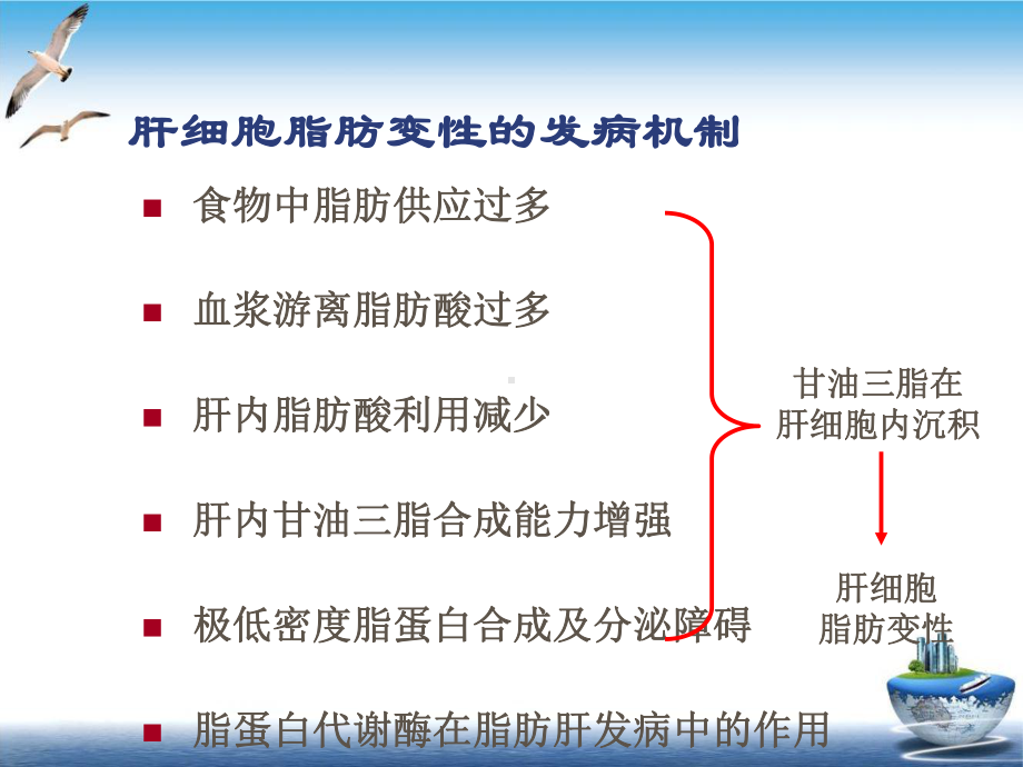 酒精性肝病及非课件.pptx_第3页