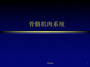 骨骼肌肉系统软骨及骨的胚胎发生生长和成熟影像诊断课件.ppt