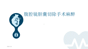 麻醉科教学查房课件.pptx