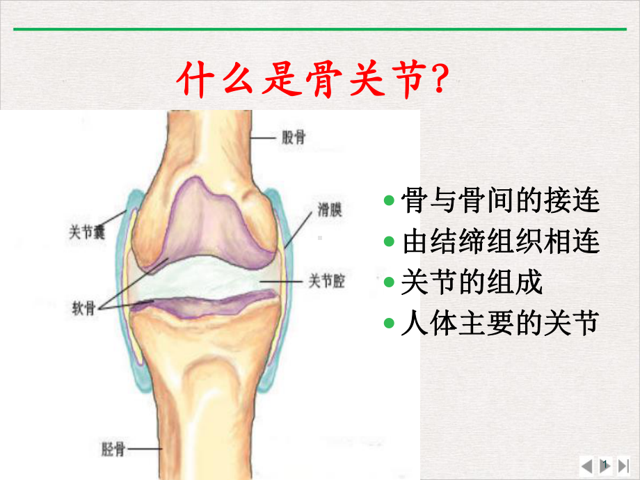 骨关节炎的那些事课件.pptx_第1页