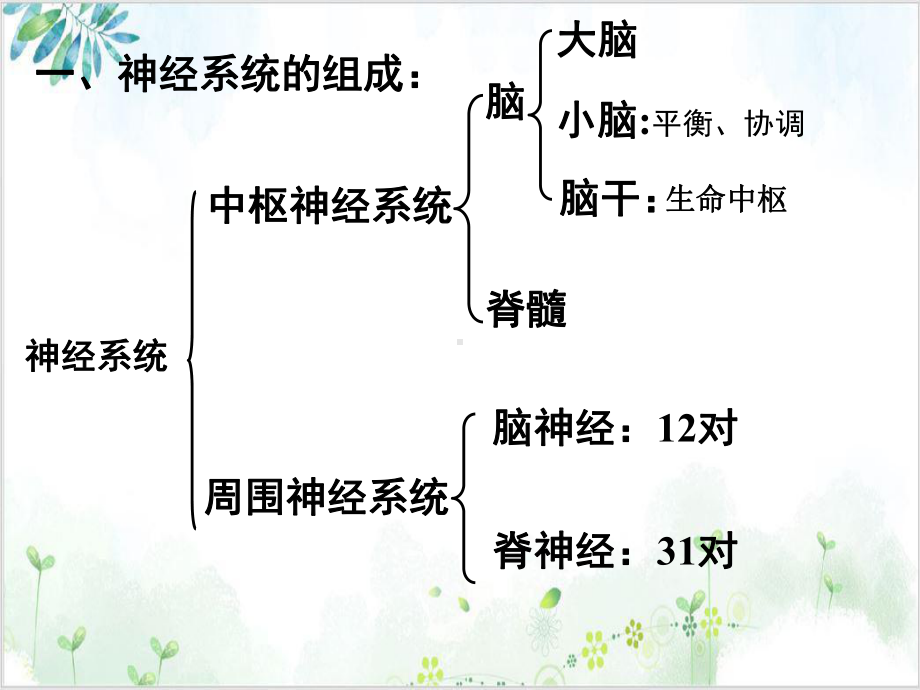 [人教版]《通过神经系统的调节》课件2.ppt_第3页