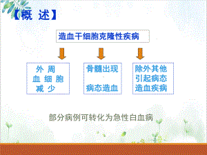 骨髓增生异常综合征课件.pptx