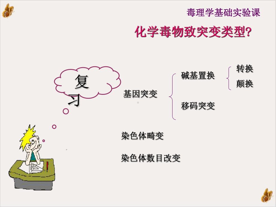 染色体畸变分析课件.ppt_第2页