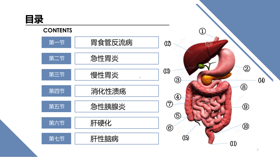 消化系统疾病课件整理.ppt_第2页